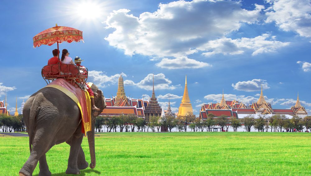 bangkok elephant